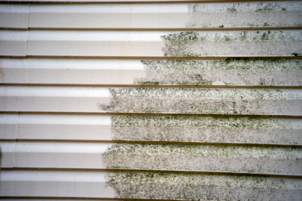 How To Choose The Right Materials for Your Siding Installation in 'Salmon Brook, CT